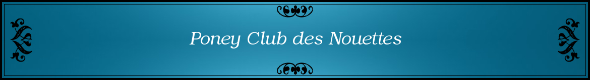 Poney Club des Nouettes